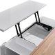 Grandora Coffee table White Ash Colour Grandora Coffee table White Ash Colour