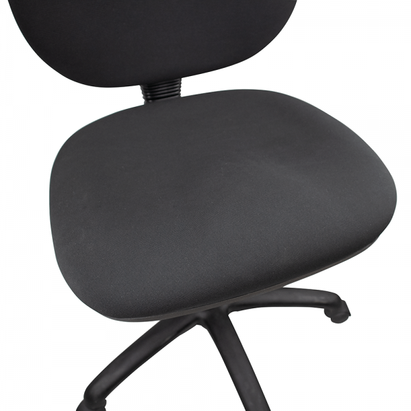 Ergo Bug Express Office Chair Fully Ergonomic Task Seating with Posture Correct Lumbar Support Ergo Bug Express Office Chair Fully Ergonomic Task Seating with Posture Correct Lumbar Support