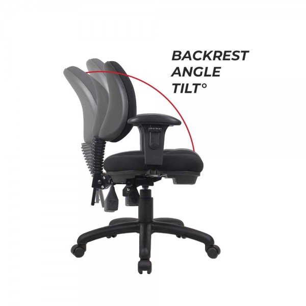 Ergo Bug Express Office Chair Fully Ergonomic Task Seating with Posture Correct Lumbar Support Ergo Bug Express Office Chair Fully Ergonomic Task Seating with Posture Correct Lumbar Support
