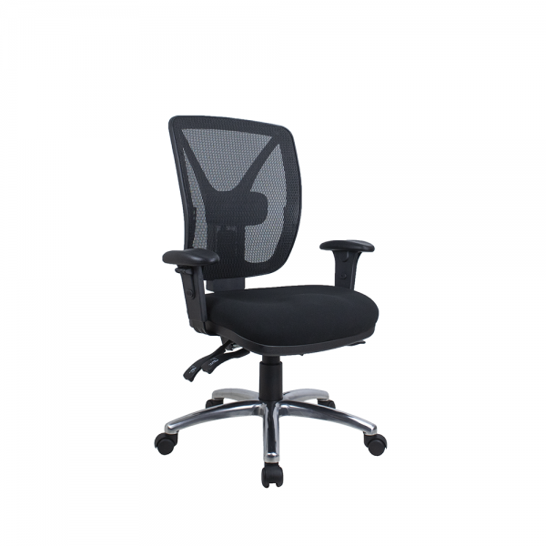 ErgoSit Therapeutic Posture Correct Mesh back Fully Ergonomic Office Chair 160Kg Rated Optional Arms ErgoSit Therapeutic Posture Correct Mesh back Fully Ergonomic Office Chair 160Kg Rated Optional Arms