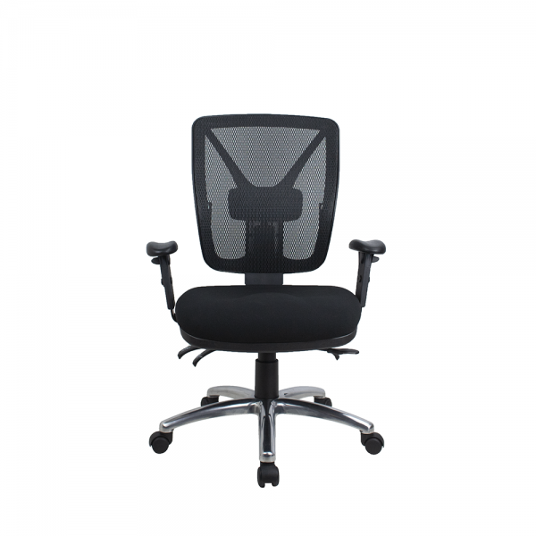 ErgoSit Therapeutic Posture Correct Mesh back Fully Ergonomic Office Chair 160Kg Rated Optional Arms ErgoSit Therapeutic Posture Correct Mesh back Fully Ergonomic Office Chair 160Kg Rated Optional Arms