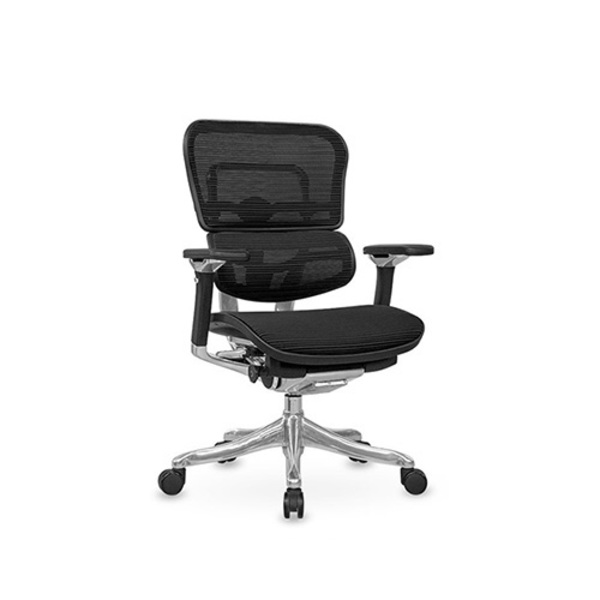 ergohuman plus deluxe mesh office chair