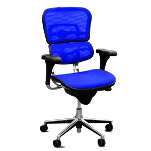 eurotech ergohuman mesh chair