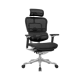 Ergohuman Office Chairs