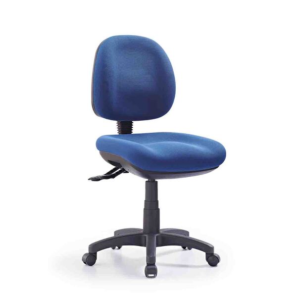 Express P350 Medium Back Fully Ergonomic Office Chair - AFRDI 6 Approved