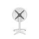 Moon Cafe Fixed Or Folding Premium Designer UV Resistant Indoor & Outdoor Table Moon Cafe Fixed Or Folding Premium Designer UV Resistant Indoor & Outdoor Table