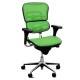 Ergohuman V1 Deluxe Mesh Executive Office Chair No Head Rest Ergohuman V1 Deluxe Mesh Executive Office Chair No Head Rest