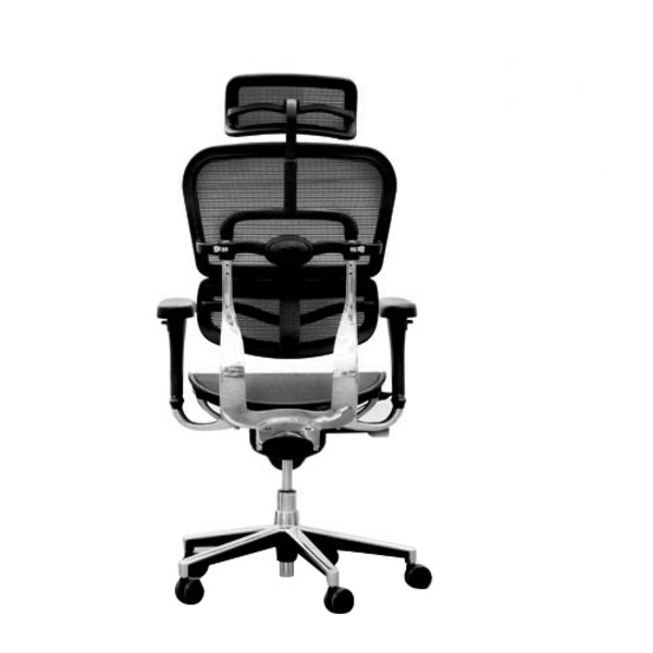 Ergohuman V1 Deluxe Mesh Executive Office Chair with Headrest Ergohuman V1 Deluxe Mesh Executive Office Chair with Headrest