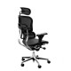 Ergohuman V1 Deluxe Mesh Executive Office Chair with Headrest Ergohuman V1 Deluxe Mesh Executive Office Chair with Headrest