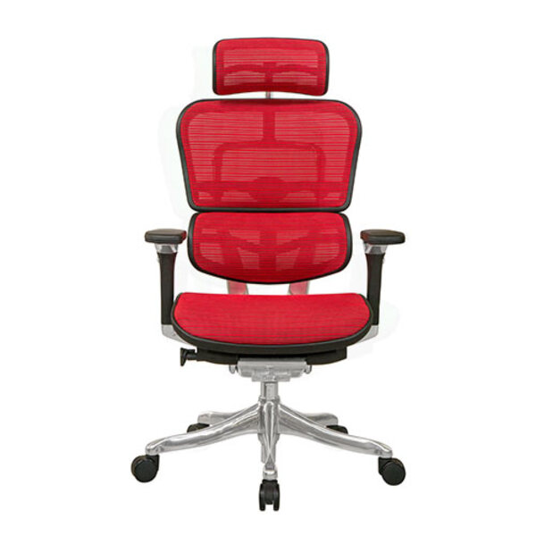 Ergohuman V2 Deluxe Mesh Chair with Headrest & Independent Seat Angle Tilt