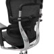Ergohuman V2 Plus Deluxe with Headrest Mesh Chair