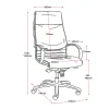 CL820 Executive Chair-dimensions