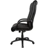Statesman Leather Executive Office Chair-side