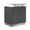 Receptionist Reception Counter