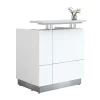 Receptionist Reception Counter