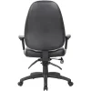 Preston Executive Office Chair Ergonomic Adjustment with Arms-back