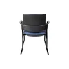 Venice Linea Sled Arms