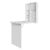 Fold Away Wall Desk