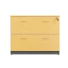 LuxeWorker Lockable Lateral Filing Cabinet 2 Drawers