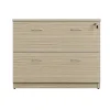 LuxeWorker Lockable Lateral Filing Cabinet 2 Drawers