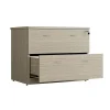LuxeWorker Lockable Lateral Filing Cabinet 2 Drawers