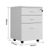 LuxeWorker Mobile Drawer Lockable Pedestal