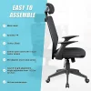 Ergonomic Mesh Office Chair