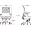 VeraFlex Executive Mesh Chair-dimensions