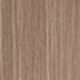 Tawny Line $0.00