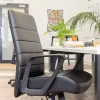 Mondo Plato Executive Office Chair