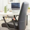 Mondo Plato Executive Office Chair