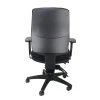 Ergoform Ergonomic Healthcare Chair-Rear with Arms