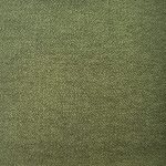Olive $0.00