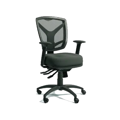 Ergonomic Chairs
