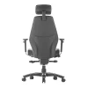 Raptor Executive Adjustable Synchro Mechanism Office Chair-Back View