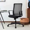 Entry Mesh Back Office Chair