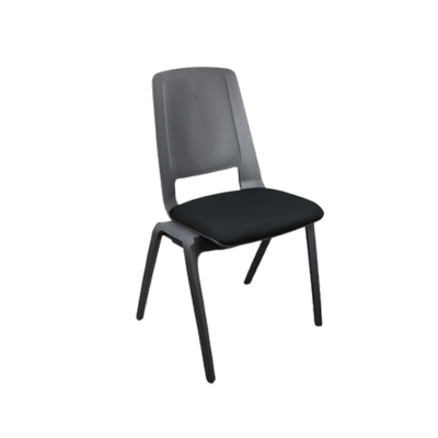 Conference Chairs