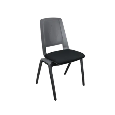 Conference Chairs