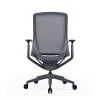 Lynx Charcoal Back