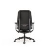 Selta Black Back