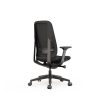 Selta Black Back Angle