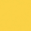 Golden Wattle +$30.00