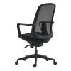 Peto Mesh Office Chair-Back-side-view-2