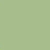 Mint Green $0.00
