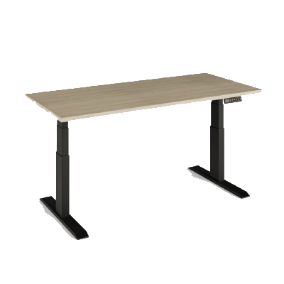 Rafurna Height Adjustable Desk