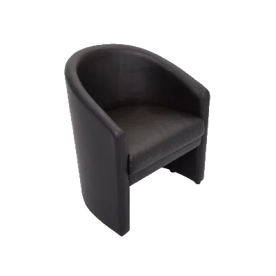 Rafurna Lounge Chairs