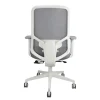 Stan Mesh Task Chair White ARMS REAR