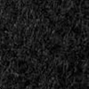 Coal $0.00