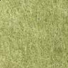 Fern $0.00