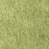 Fern $0.00